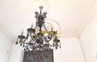 Vanzare zona Armeneasca,Casa eclectica sec XX,curte individuala,3 niveluri 295mp - 8