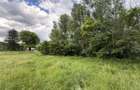 Teren plat-intravilan -3800 mp, cu pădurice și ieșire la râu! - 10