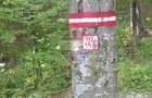 DE VÂNZARE – FOND FORESTIER PRIVAT | 100,9 ha | Județul Suceava - 5