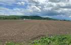 Teren extravilan 3.240 mp la strada * intre Selimbar si Bungard - 3
