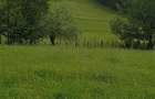 TEREN DE VANZARE 500O MP PUNCT CHETRIS CERDAC SLANIC MOLDOVA - 2