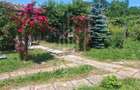 Casă săsească autentică în Bruiu (Sibiu) - 13