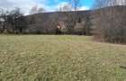 Teren Intravilan Ideal Pt Casa de Vacanta ,Valea Dobarlaului - 6