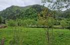 Teren intravilan - Rucar - Satic - 1775 mp - la strada principala - deschidere - 2