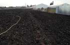 Teren intravilan 1,2 ha *12000 mp, casa 61 mp, sera, front stradal 15 m