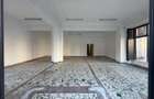 Spatiu comercial, 101mp, semicentru, Podul de Fier Iasi, spre aeroport - 9