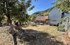 Teren intravilan in Saliste, 295 mp - intravilan - cu utilitati - 1