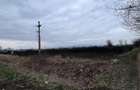 Teren 50000mp Extravilan-Intrare Halchiu-Cod 5235 - 5