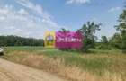 Săbăreni, teren 12620 mp pentru case, lângă pădure - 3