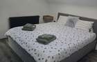 Proprietate exclusivistă pentru locuință sau pensiune – cameră VIP cu jacuzzi - 5