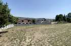 Teren Intravilan de Vis în Bascov, la Marginea Pădurii! - 4