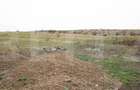 Teren 5800 mp în Câmpenești – cadru natural deosebit, ideal pentru investiție - 4