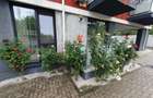 Apartament 2 camere la parter, parcare proprie, zona Iosefin - 20