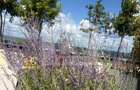 Penthouse | Etaj 14 | Seasons | Direct de la Dezvoltator!