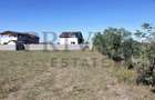 Teren intravilan, 516 mp, fs 20 ml, Torontalului - 2