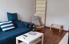 Inchiriere 2 camere Teiul Doamnei - 4