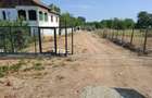 Teren Ultracentral Comuna Coșoveni – 2.290 mp | Utilități + Dotări Complete