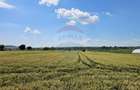 Teren 15,000mp Salcea-Prelipca, Suceava - 9