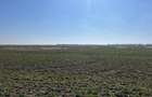 Teren intravilan, 5000 mp, zona Peugeot - 2