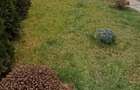 Vila Mega Image cod 157140 tel 0731226666 - 15