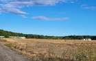 Oportunitate Unică! Teren de Vânzare aproape de Pădure – Ciolpani Izvorani - 5