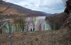 Teren cu deschidere la lac – Valea Doftanei, Prahova - 16