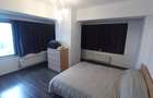 APARTAMENT 3 CAMERE ET 7/8 FIALD SERBANESTI - 8