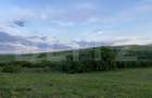 Teren intravilan, 21.450 mp, utilitati, acces autostrada, sat Dumbrava - 8