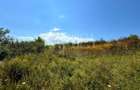 Teren intravilan pentru constructii de vanzare in Chinteni - 2