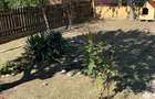 Vila Agigea - 2500 euro/luna, termen lung (Cod E2+E7) - 6