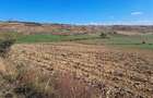 Teren agricol de vanzare  - 10