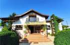 Royal Imobiliare -vanzari vile zona Ultracentral - 2