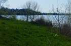 OCAZIE Teren intravilan de vânzare – Grădiștea, Ilfov, Aleea Primăriei - 8