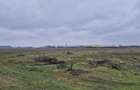 Teren intravilan 31497 mp - Chitila zona industriala de hale - 4