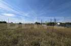 Teren de vanzare, 4 hectare, zona Exterior Vest - 5