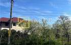 Teren intravilan 2554 mp, com. Prajesti, jud. Bacau - 7