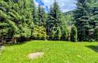 Cabană – Mureș – Sălard – Zona Pensiunea Denisa - 17