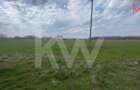 TEREN INTRAVILAN 1000 MP CARCEA - ZONA HANUL CU PONEI - 6