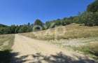 36.200 mp teren | Poiana Mărului | Platou | Apă și curent | 1 km de Sergiana - 1