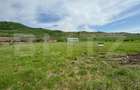 Hala, 230mp , zona Sud - 7