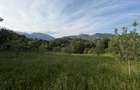 TEREN INTRAVILAN 2.000 MP ÎN PEȘTERA – MOIECIOU | IZVOR PROPRIU | UTILITĂȚI | D - 18
