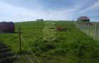 Teren 2500 mp-ideal agricultura/cabane/sera-panorama-Monariu - 3