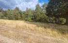 Teren 8000 mp in zona de munte - 5