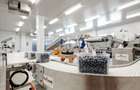 BUSINESS DE VANZARE Plantatie de afin din Romania - 3