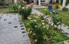 Casă in zona Iosefin - 13