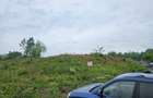 Teren pentru construcție casă P+E+M, 2 parcele, Pianu de Sus - 4