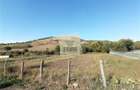 Teren intravilan 3500 mp zona Hamba - 10