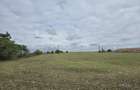 Amzacea- sat G. Scarisoreanu -Ferma zootehnica , 5,1 hectare - 5