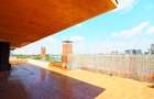 Penthouse generos cu 6 camere, 4 bai | 204mp terasa | 2 garaje - 6