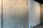Spatiu Comercial cu randament - Herastrau - 6
